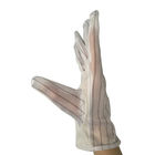 Găng tay chống tĩnh điện không trơn trượt M / L với mặt sau có sọc Polyester 10mm